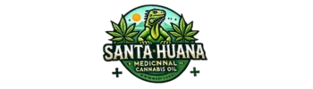 Santa Huana